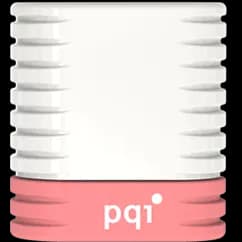 فلش مموری 8گیگابایت PQI مدل U606L