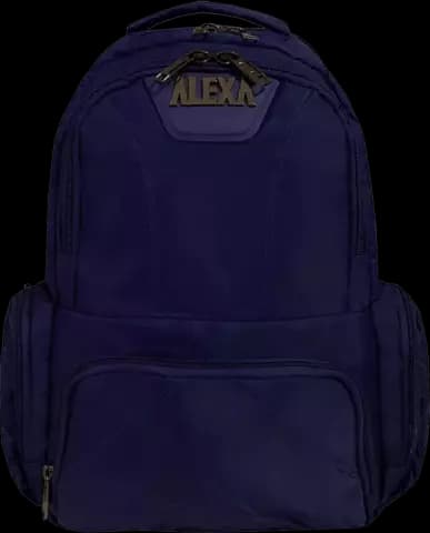 کوله پشتی لپ تاپ ALEXA مدل ALX708