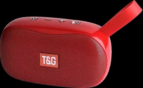 اسپیکر قابل حمل T-G مدل  TG-173