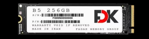 حافظه SSD اینترنال 256 گیگابایت FDK مدل  B5 SERIES NVMe M.2