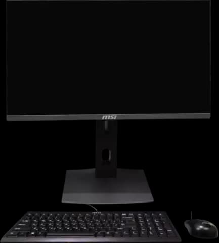 آل این وان (ALL IN ONE) 4 گیگابایت 256 گیگابایت 23.8 اینچ MSI مدل PRO 24X-10M-RISER