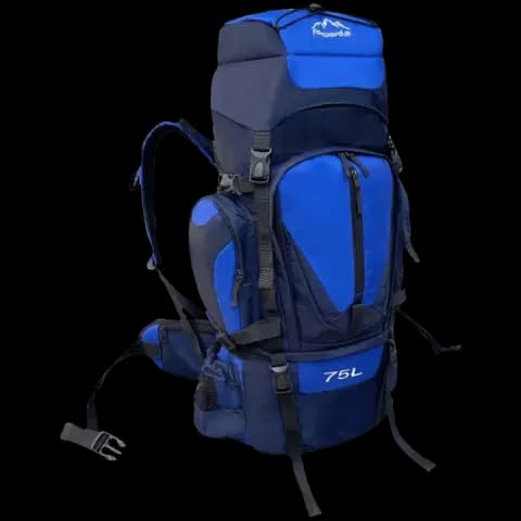 کوله پشتی کوهنوردی FORWARD مدل FCLT417